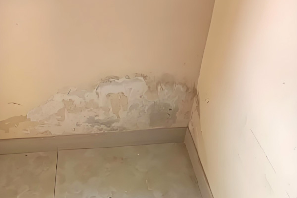 管道漏水檢測(cè)儀