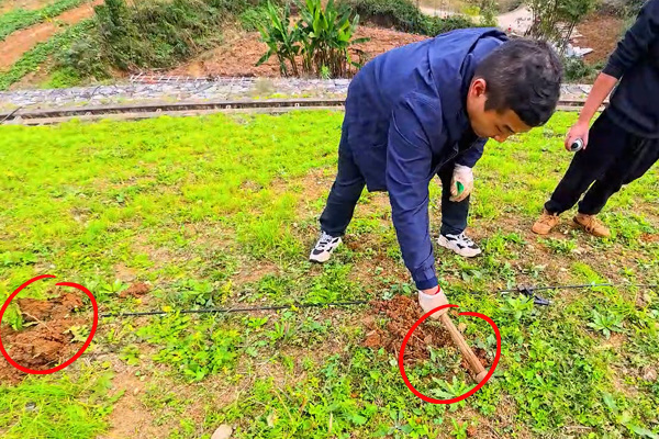 普奇PQ227A 堤防滲漏檢測(cè)儀 普奇PQ227A 堤防滲漏檢測(cè)儀